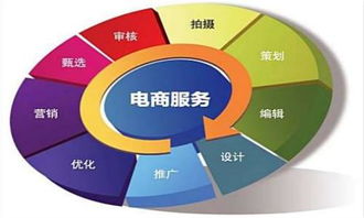 电子商务专业有什么用途