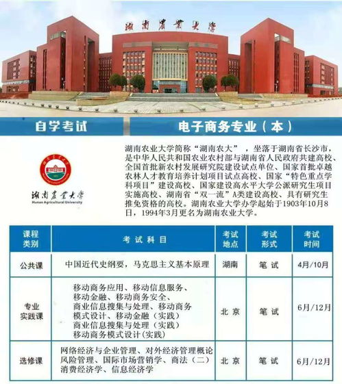 电子商务专业能考银行吗