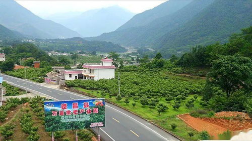 干坡坡变金窝窝的绿色发展之路