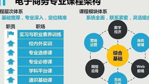 电子商务专业版备选职业